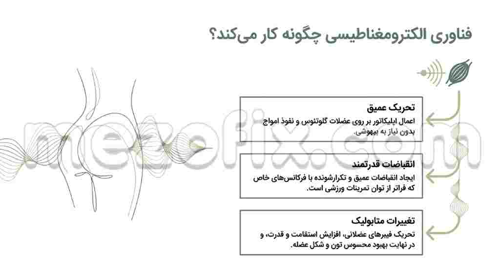 دستگاه عضله ساز باسن چگونه کارمی کند ؟