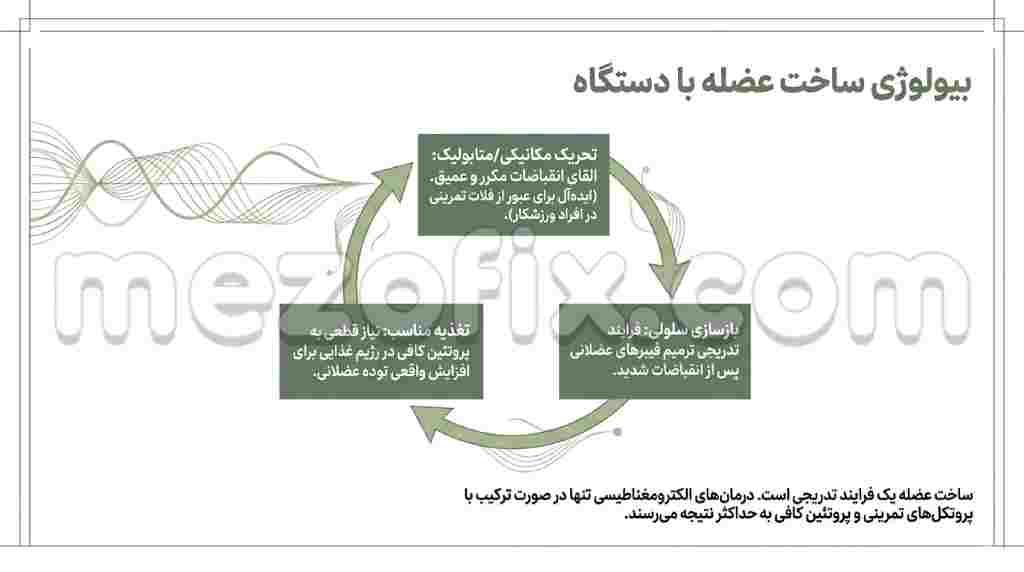 دستگاه عضله ساز برای ساخت عضلات شکم